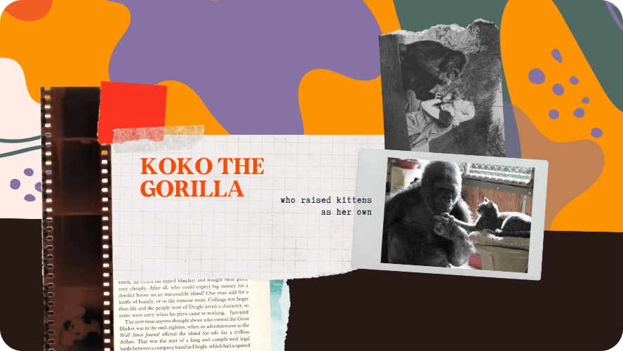 blog