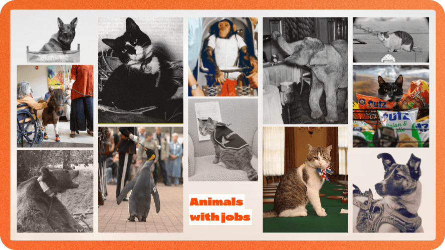 Preview image for 10 aniamls with jobs
