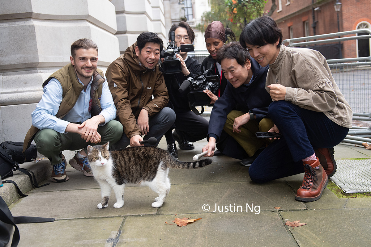 Larry the Cat at 10 Downing Street