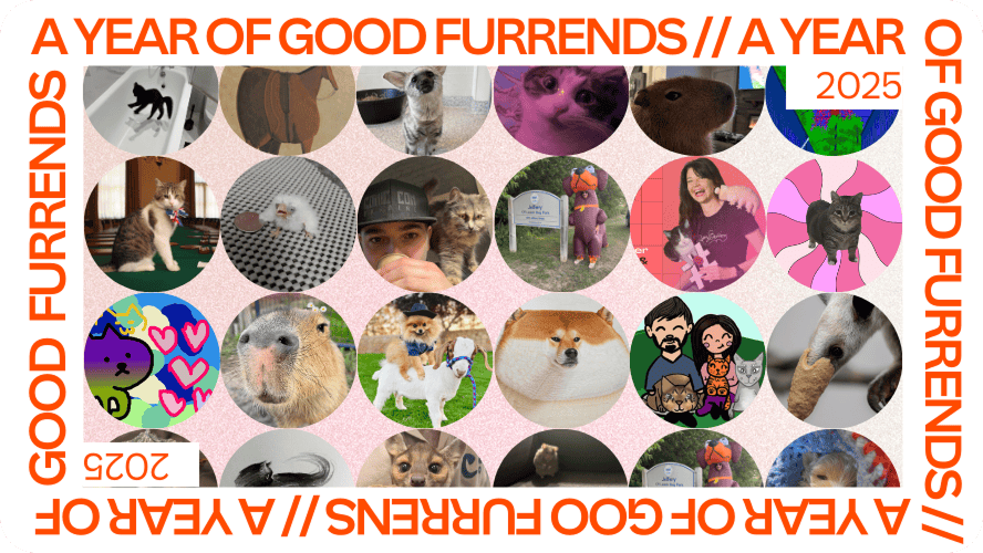 A Year of Good Furrends
