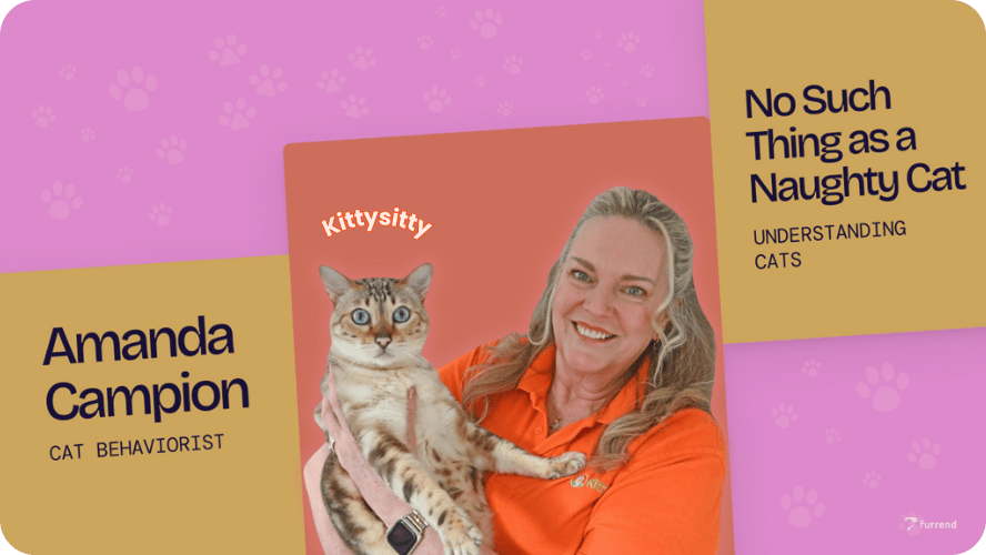 Cat Behaviorist Amanda Campion Interview