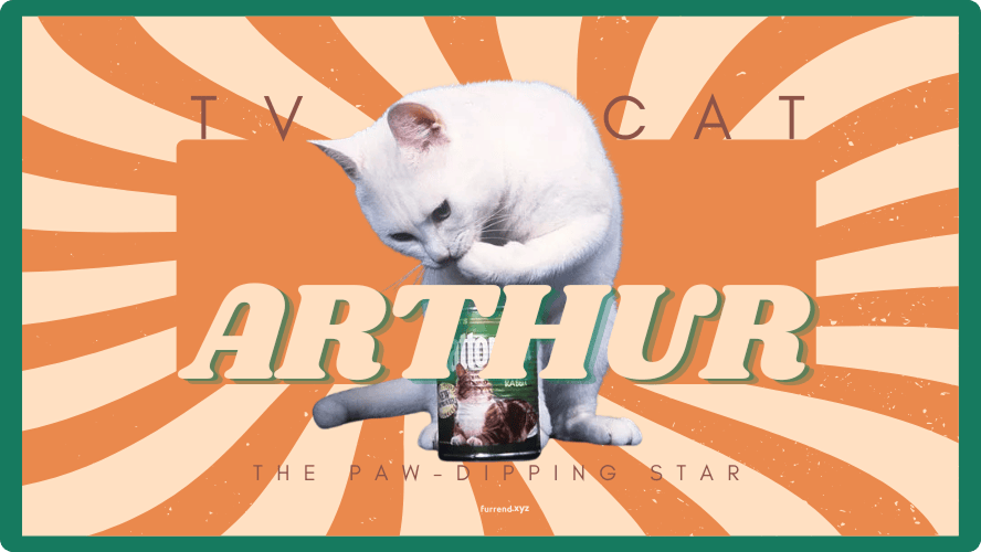 Preview image for social media