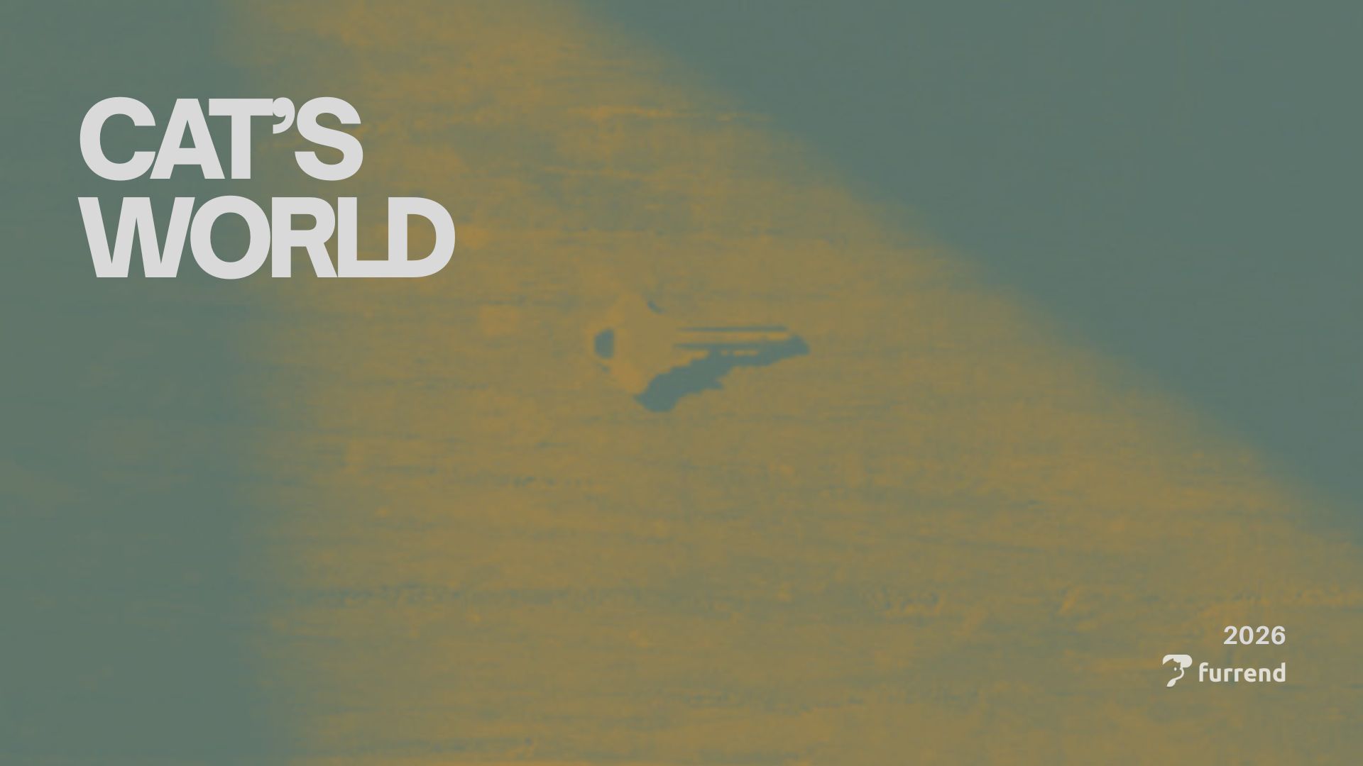 Cat's World social preview