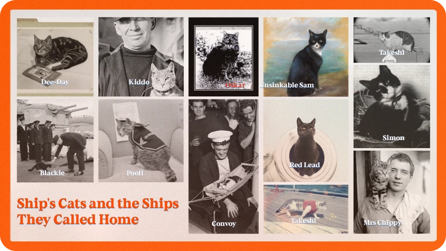 10 Ship's Cats and the Ships They Called Home