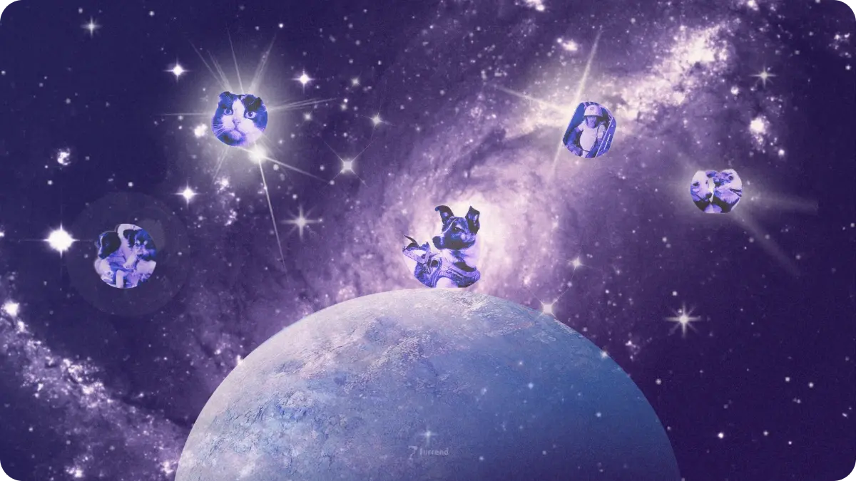 Animals in space