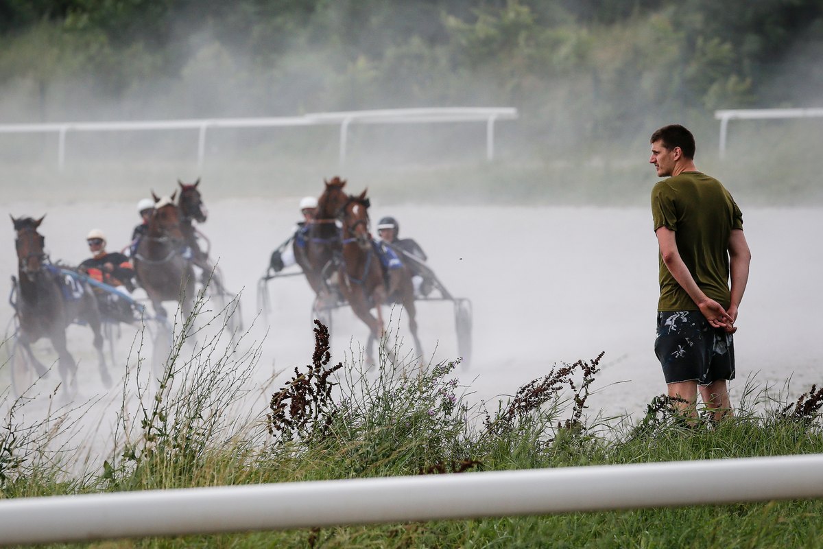 Nikola Jokić and His Horses