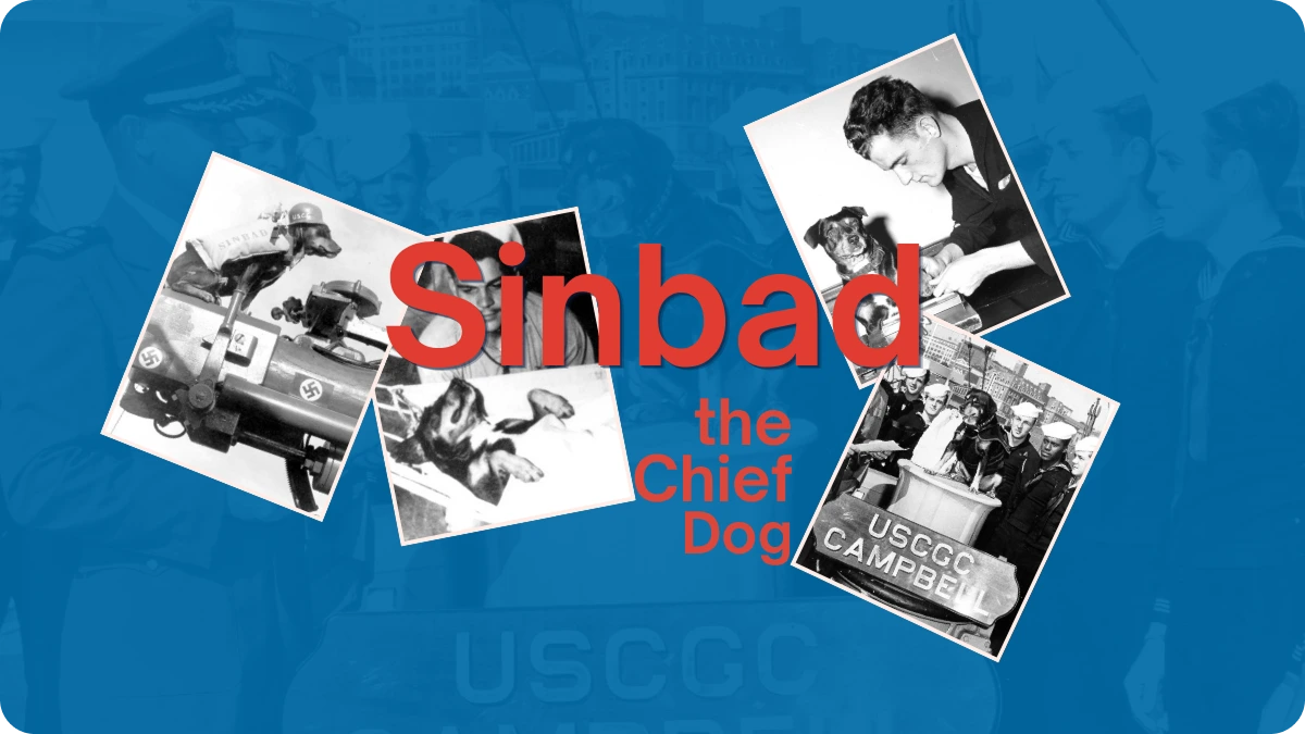 Preview image for Sinbad the Coast Guard's Chief Dog story