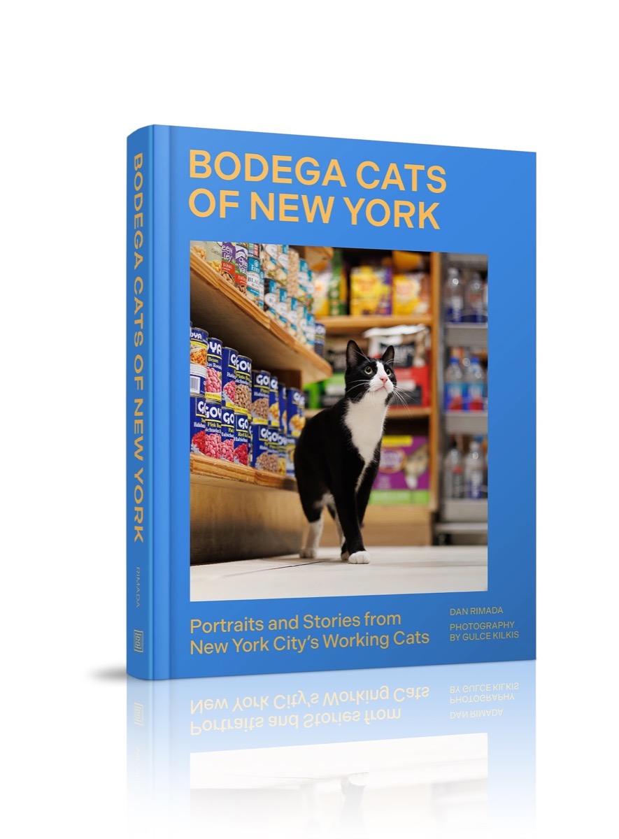 Hardcover of Bodega Cats of New York by Dan Rimada, photography by Gulce Kilkis
