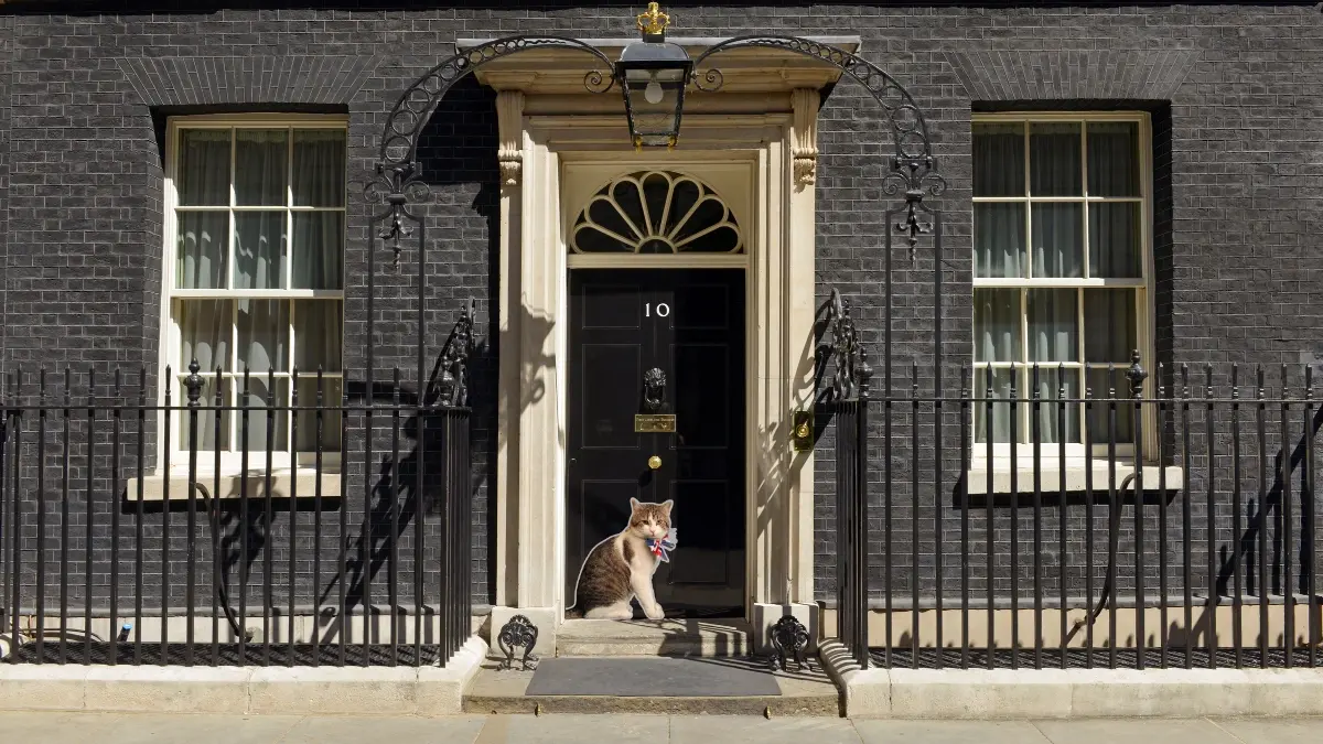 Larry the Cat, Chief Mouser at 10 Downing Street