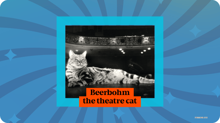 Preview image for Beerhohm the theatre cat story