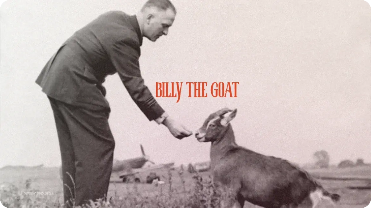 Wing Commander Billy the Goat