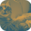 Cat's World