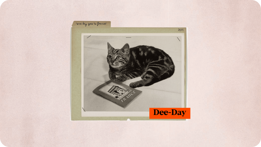 Preview image for Dee-Day the cat story