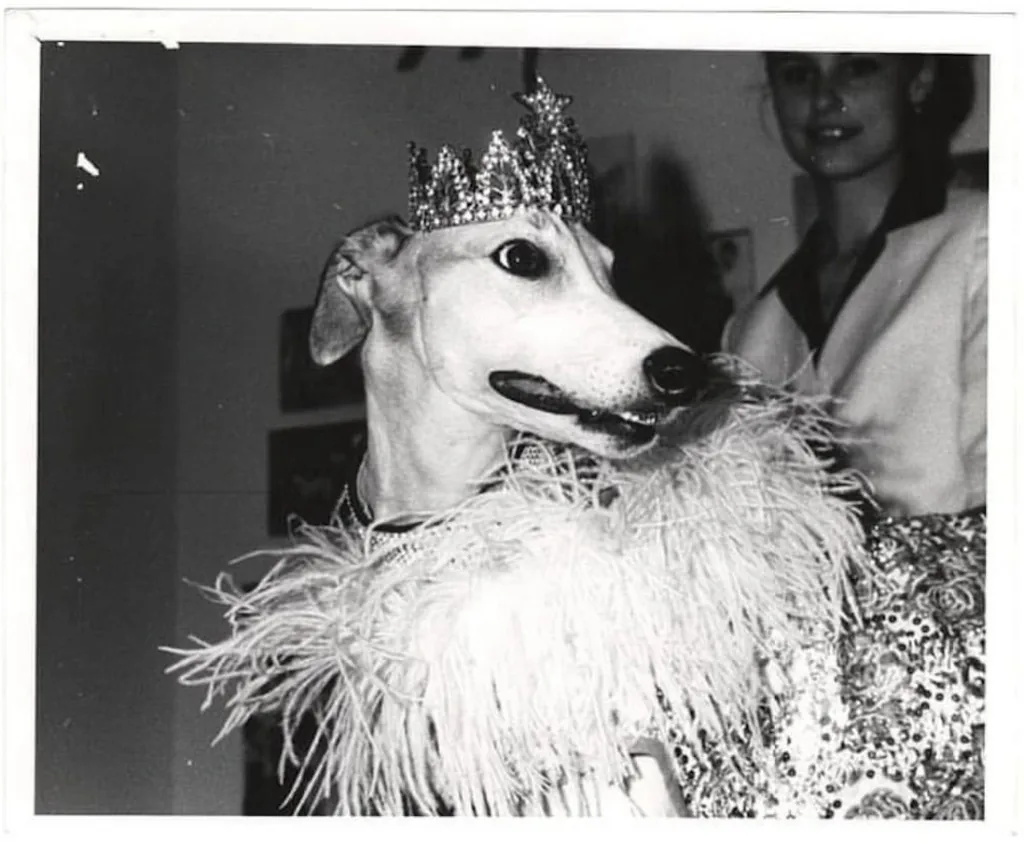 Lady Greyhound in profile wearing a tiara and a thick feather collar