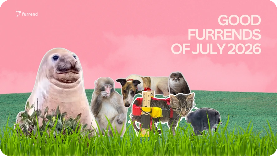 Preview image for good furrends july 2026