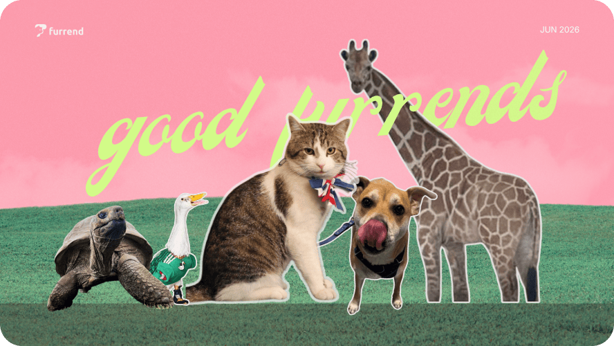 Preview image for good furrends june 2026