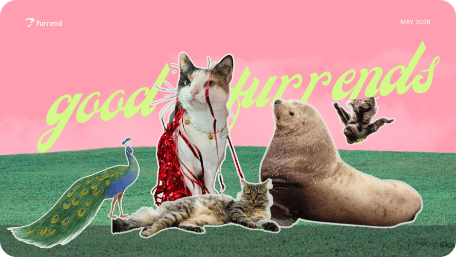 Preview image for good furrends may 2026