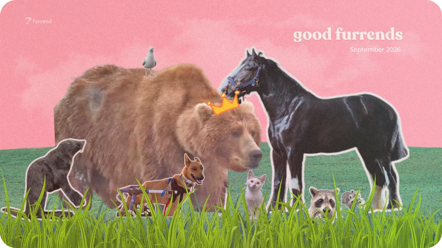 Preview image for good furrends september 2026