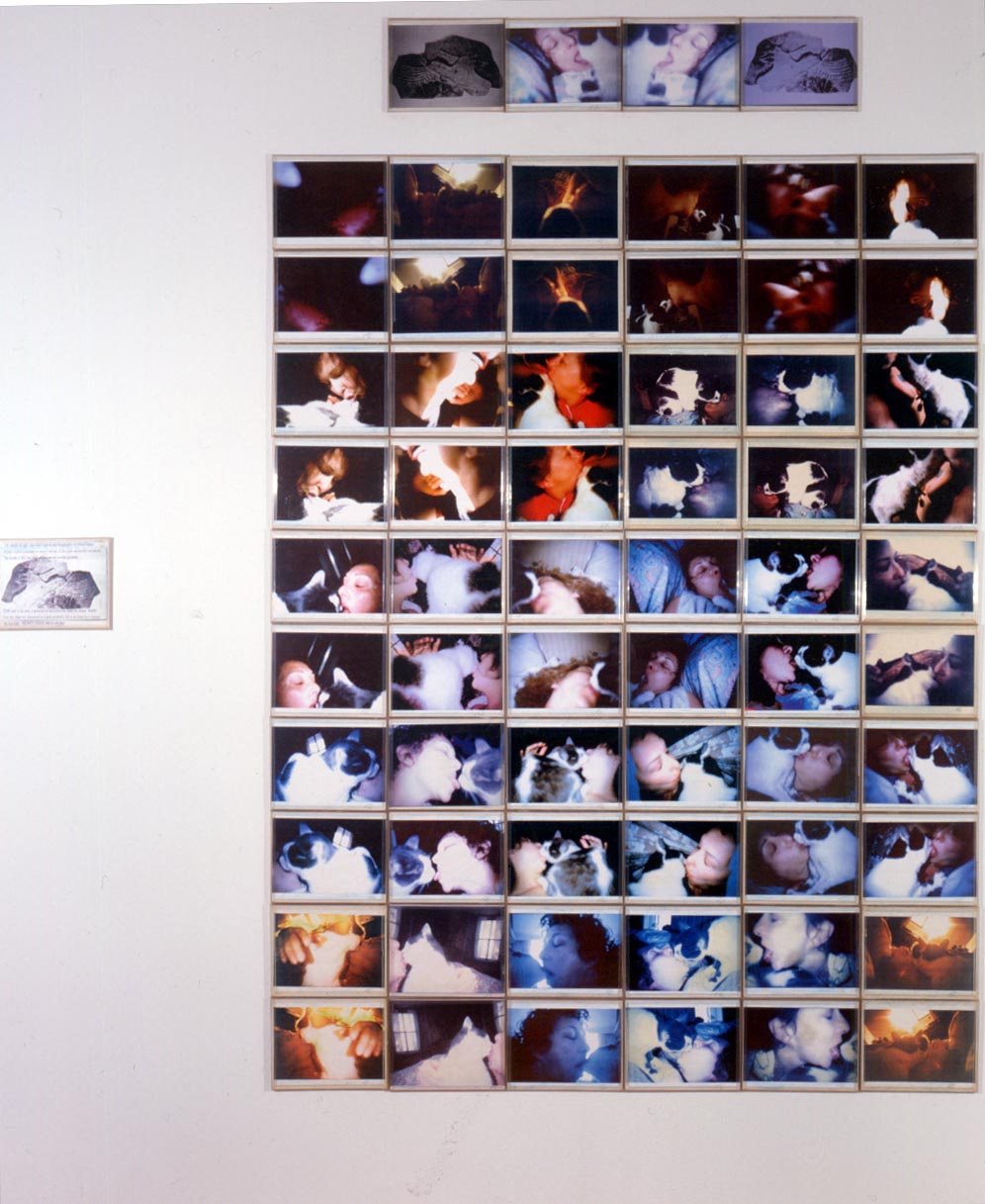 Installation view of Infinity Kisses I (Cluny) by Carolee Schneemann
