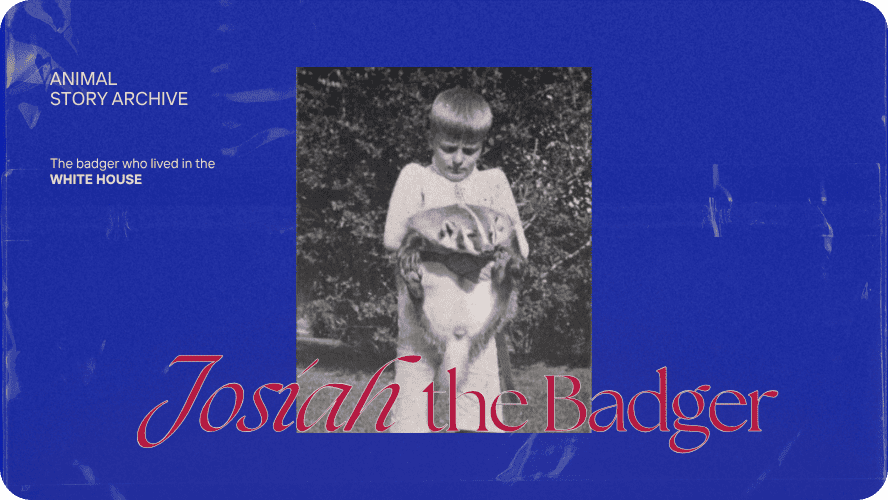 Preview image for Josiah the Badger Who Lived in the White House story