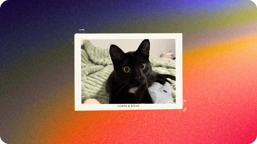 Preview image for social media