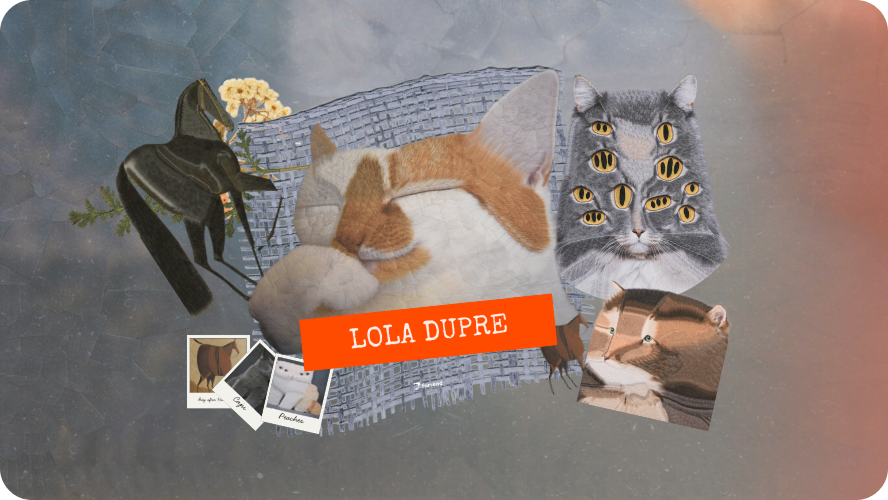 Lola Dupre: Poppies in the Wrong Place
