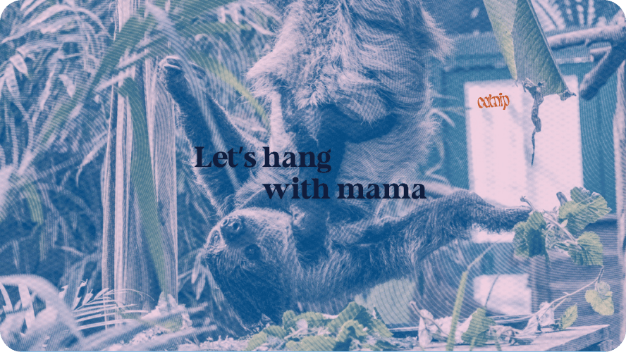 Preview image for mamaposting story