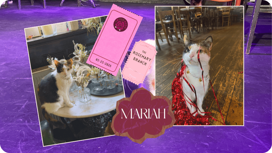 Preview image for Mariah at the Rosemary Branch story