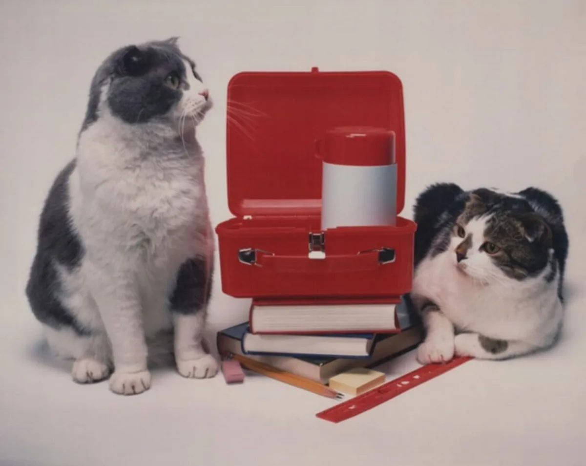 Baker and Taylor in a studio with books and a lunchbox