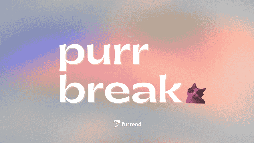 Preview image for Purr break