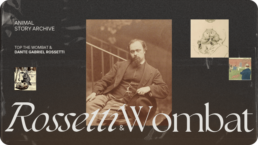 Preview image for Rossetti and Wombat story