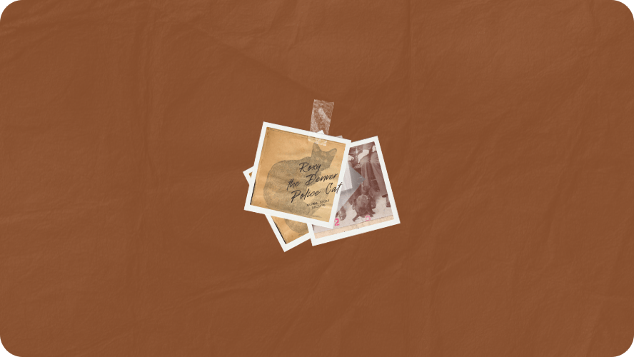 Preview image for Roxy the Denver Police Cat story