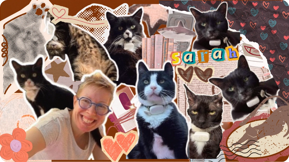 Preview image for Sarah from Moggie story