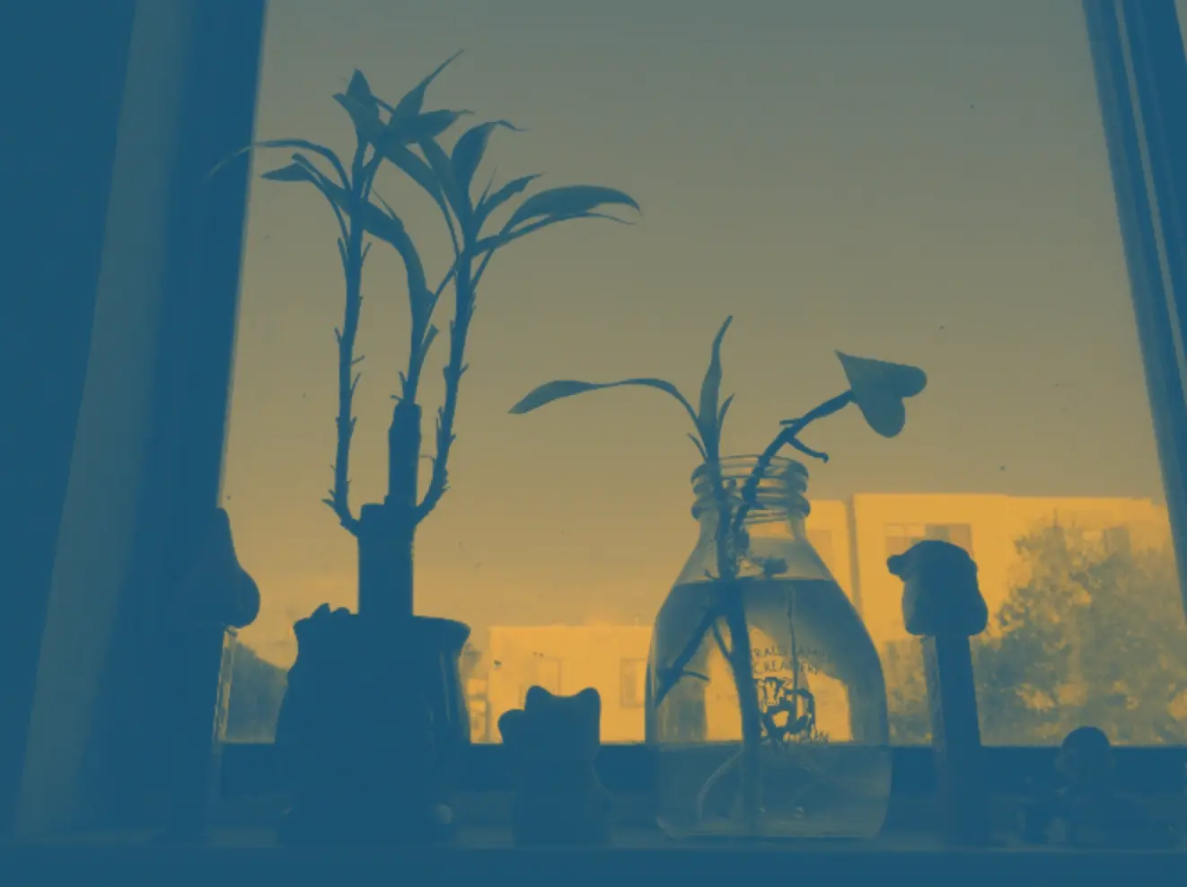 Plants and jars on a windowsill against city light