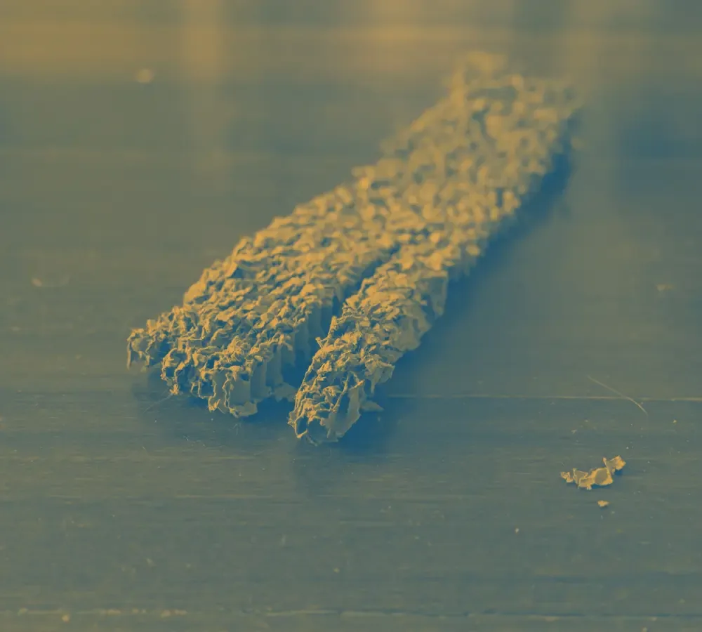A shredded cardboard scratcher on the floor