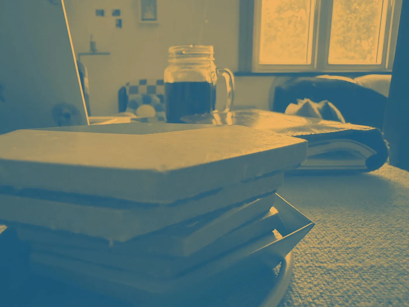 Everyday objects on a table seen from cat height