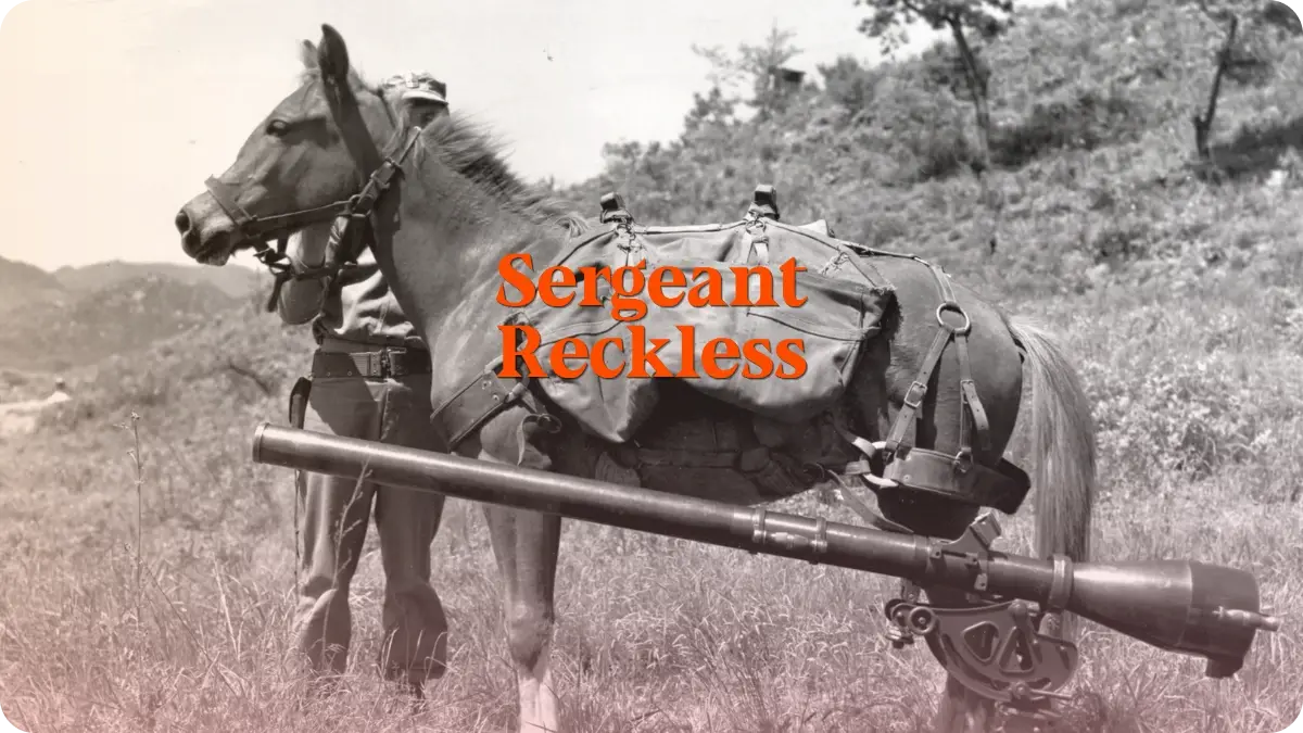Preview image for Reckless, the Horse Who Carried More Than Ammunition story