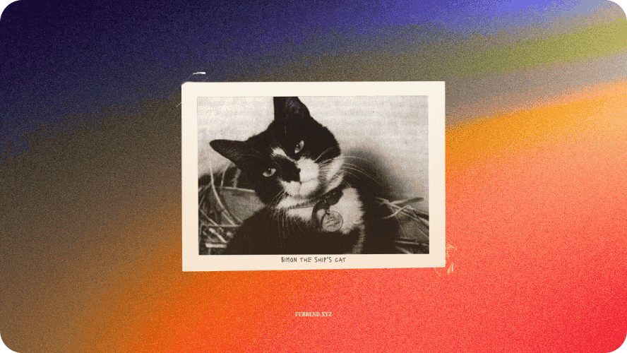 Preview image for social media