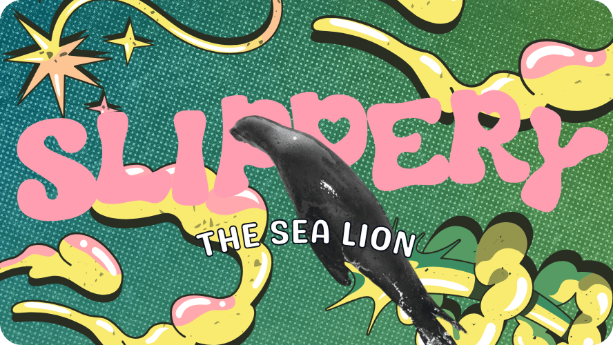 Preview image for Slippery the sea lion story