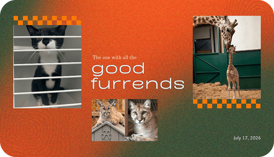 The one with all the good furrends