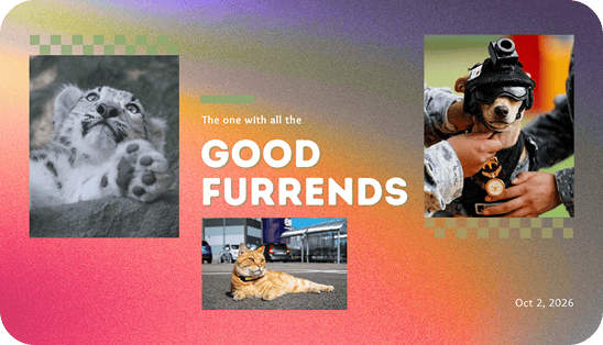 The one with all the good furrends