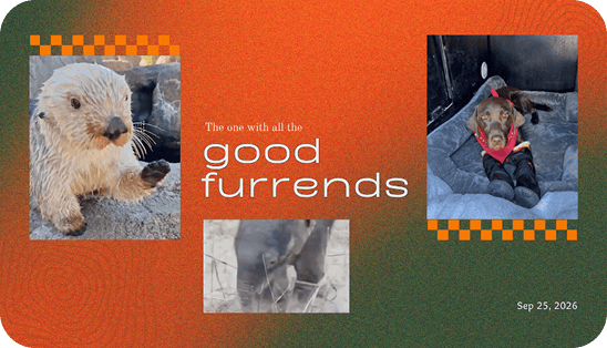 The one with all the good furrends