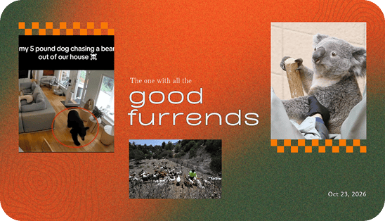 The one with all the good furrends