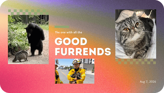 The one with all the good furrends