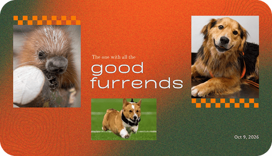 The one with all the good furrends