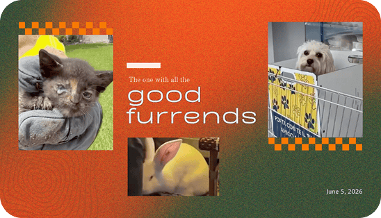 The one with all the good furrends