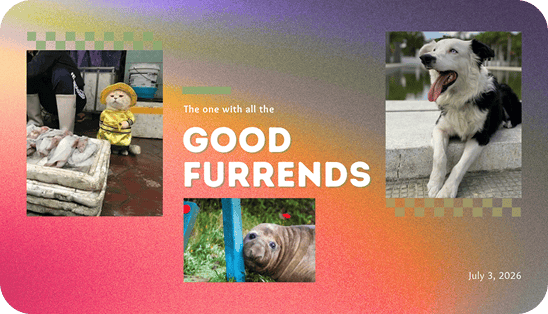 The one with all the good furrends