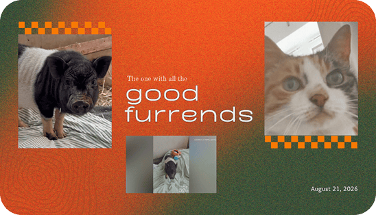 The one with all the good furrends