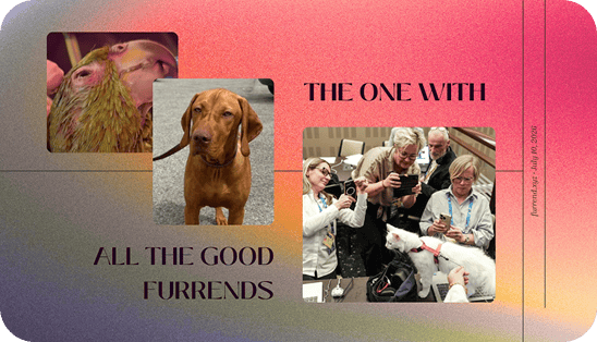 The one with all the good furrends