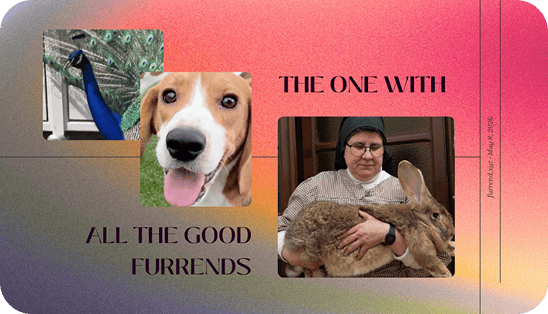 The one with all the good furrends